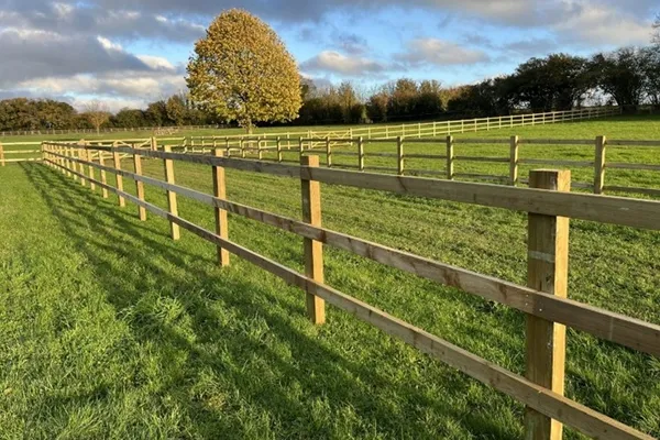 1.5m high post and 3 rail timber fence
